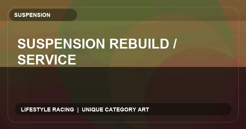 Suspension Rebuild / Service